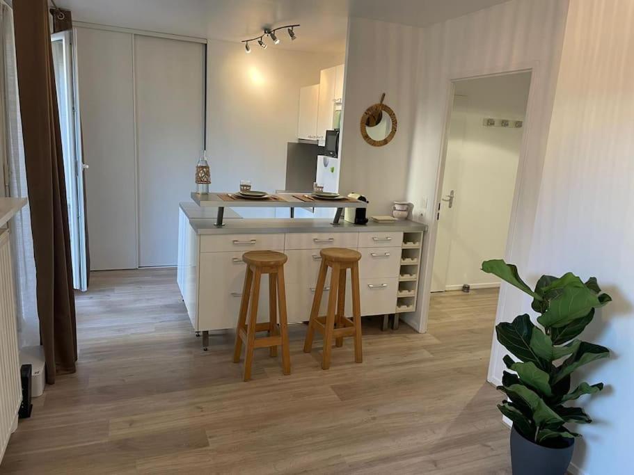 Studio 28 M2 & Jardin Privatif 20 M2 Монтиньи-ле-Бретонё Экстерьер фото